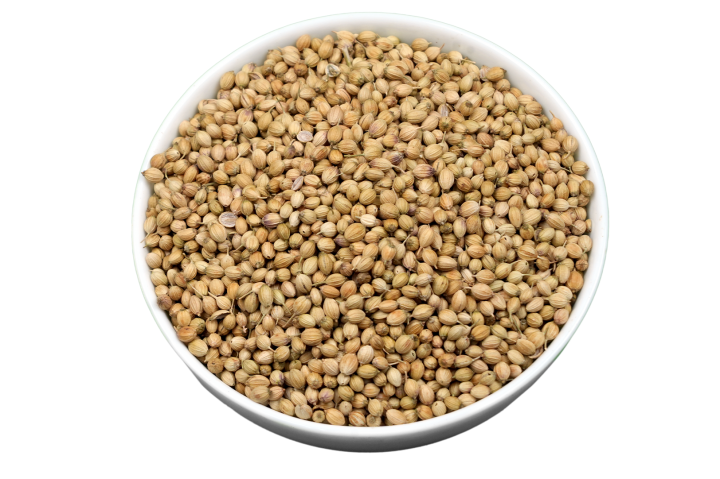 Coriander